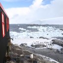 antarctica-oceanwide-expeditions-163
