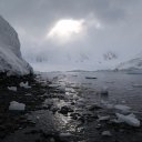 antarctica-oceanwide-expeditions-182
