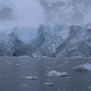 antarctica-oceanwide-expeditions-195