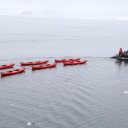 antarctica-oceanwide-expeditions-196