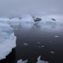 antarctica-oceanwide-expeditions-209