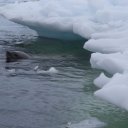 antarctica-oceanwide-expeditions-210