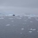 antarctica-oceanwide-expeditions-213