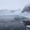 antarctica-oceanwide-expeditions-222