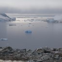 antarctica-oceanwide-expeditions-230