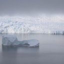 antarctica-oceanwide-expeditions-240