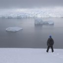 antarctica-oceanwide-expeditions-241