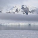 antarctica-oceanwide-expeditions-246