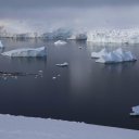 antarctica-oceanwide-expeditions-247
