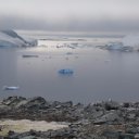 antarctica-oceanwide-expeditions-253