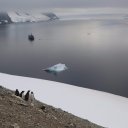 antarctica-oceanwide-expeditions-257