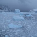 antarctica-oceanwide-expeditions-48
