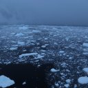 antarctica-oceanwide-expeditions-49