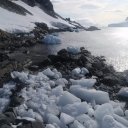antarctica-oceanwide-expeditions-54