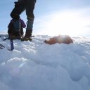 antarctica-oceanwide-expeditions-60