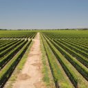 argentina-mendoza-salta-10