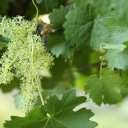 argentina-mendoza-salta-18