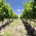 argentina-mendoza-salta-22