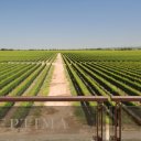 argentina-mendoza-salta-9