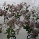 buenos-aires-argentina-41