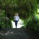 el-tigre-buenos-aires-10