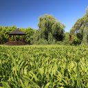 el-tigre-buenos-aires-13