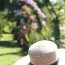 el-tigre-buenos-aires-17