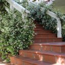 el-tigre-buenos-aires-24