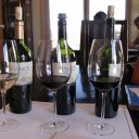 Alamos-line-of-wine-Catena-Zapata-Winery