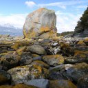 tierra-del-fuego-national-park-7
