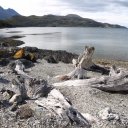 tierra-del-fuego-national-park-8