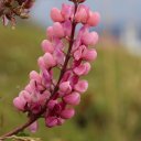 ushuia-city-argentina-3