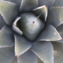 winslow-sedona-flagstaff-arizona-14