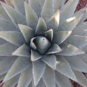 winslow-sedona-flagstaff-arizona-15