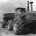 Harvested-corn-being-taken-from-the-field-to-silos