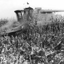 Corn-harvest-season-near-the-Mississippi-River