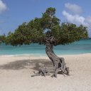 aruba-beaches-13