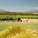 domain-chandon-yarra-valley-australia