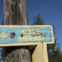 Stanley-Cay-Bahamas-Swimming-Pigs-10