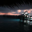 Stanley-Cay-Bahamas-Swimming-Pigs-19