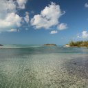 Stanley-Cay-Bahamas-Swimming-Pigs-20