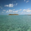 Stanley-Cay-Bahamas-Swimming-Pigs-21