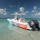 Stanley-Cay-Bahamas-Swimming-Pigs-22