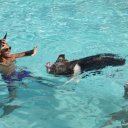 Stanley-Cay-Bahamas-Swimming-Pigs-26