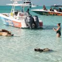 Stanley-Cay-Bahamas-Swimming-Pigs-33