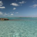 Stanley-Cay-Bahamas-Swimming-Pigs-39