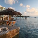 Stanley-Cay-Bahamas-Swimming-Pigs-4