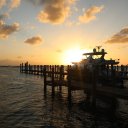 Stanley-Cay-Bahamas-Swimming-Pigs-40