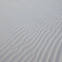 Stanley-Cay-Bahamas-Swimming-Pigs-45