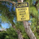 grand-cay-bahamas-18